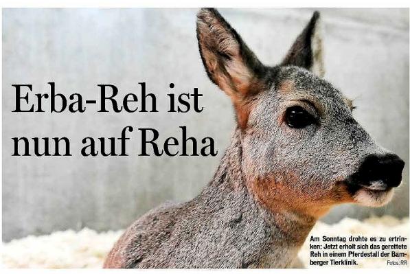 Copyright AiS-FT Rinklef Bild zum Eintrag (35206-160)