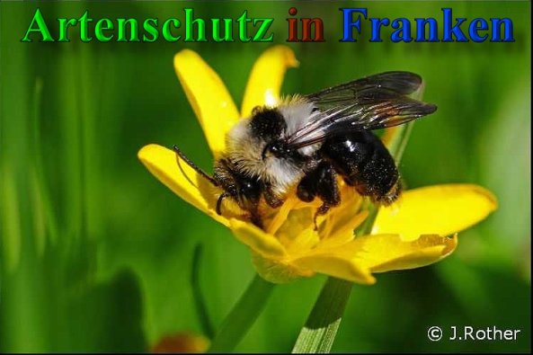 Copyright AiS-Johannes Rother Bild zum Eintrag (40180-160)