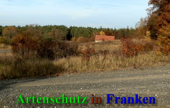 Copyright AiS- Albert Meier Bild zum Eintrag (42097-160)