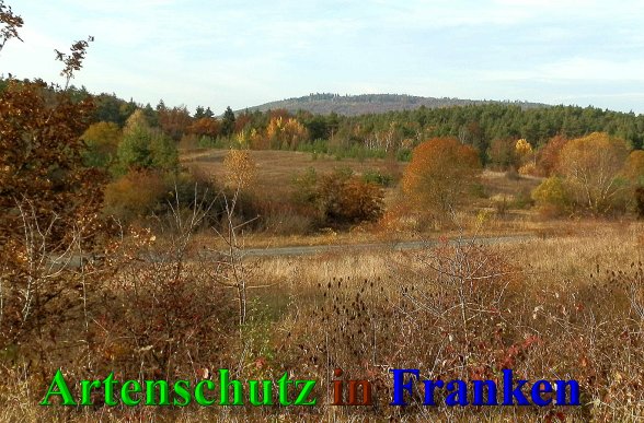 Copyright AiS- Albert Meier Bild zum Eintrag (42105-160)