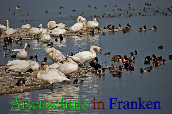 Copyright AiS - Klaus Sanwald Bild zum Eintrag (42848-160)