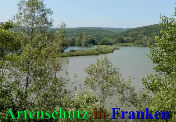 Bild zum Eintrag (46948-160)