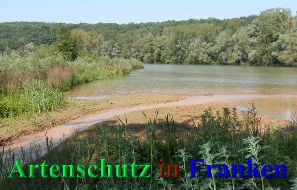 Copyright AiS- Albert Meier Bild zum Eintrag (46950-160)