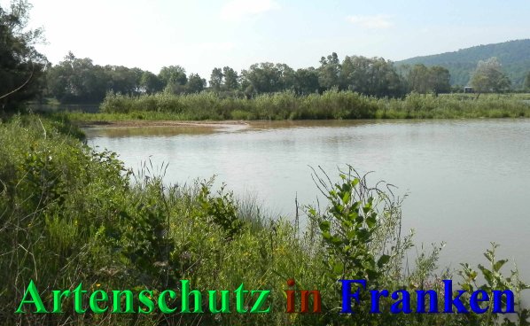 Copyright AiS- Albert Meier Bild zum Eintrag (46952-160)