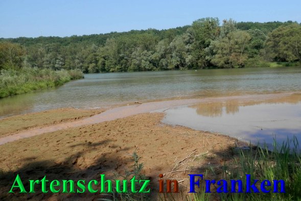 Copyright AiS- Albert Meier Bild zum Eintrag (46953-160)