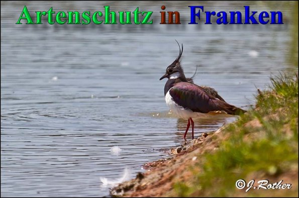 Copyright AiS-Johannes Rother Bild zum Eintrag (46956-160)