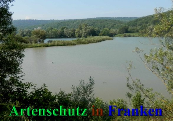 Bild zum Eintrag (46957-160)