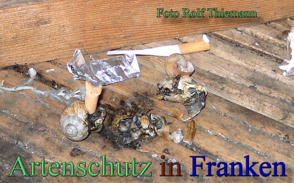 Copyright AiS Rolf Thiemann Bild zum Eintrag (47660-160)