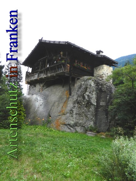 Copyright AiS - Mitterhuber Bild zum Eintrag (48765-160)