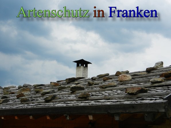 Copyright AiS - Mitterhuber Bild zum Eintrag (48766-160)