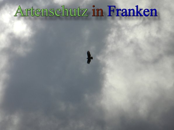Copyright AiS - Mitterhuber Bild zum Eintrag (48767-160)
