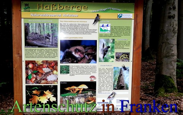 Copyright AiS- Albert Meier Bild zum Eintrag (48784-160)