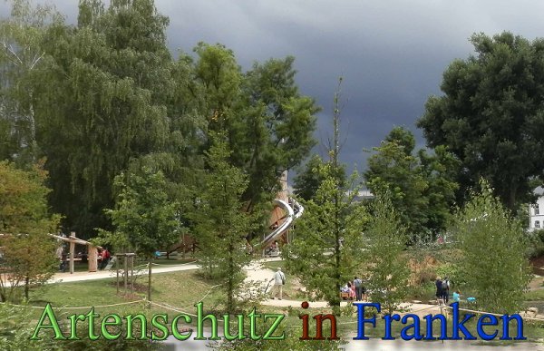 Copyright AiS- Albert Meier Bild zum Eintrag (48824-160)