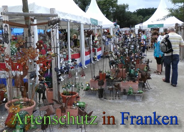 Copyright AiS- Albert Meier Bild zum Eintrag (48829-160)