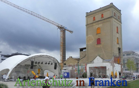 Copyright AiS- Albert Meier Bild zum Eintrag (48832-160)