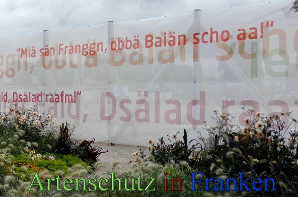 Copyright AiS- Albert Meier Bild zum Eintrag (48836-160)