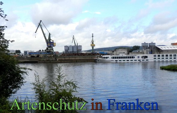 Copyright AiS- Albert Meier Bild zum Eintrag (48842-160)