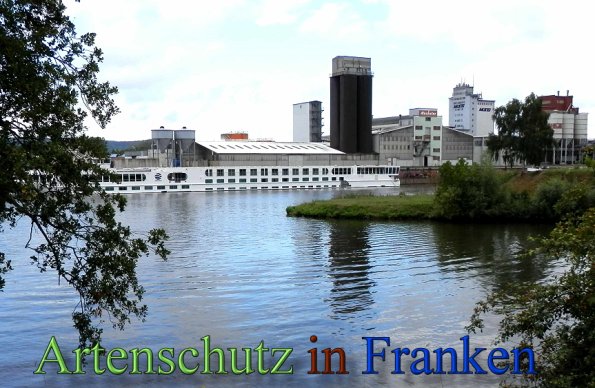 Copyright AiS- Albert Meier Bild zum Eintrag (48844-160)