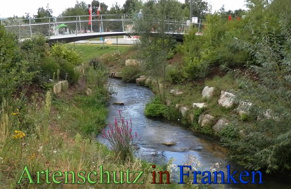 Copyright AiS- Albert Meier Bild zum Eintrag (48849-160)