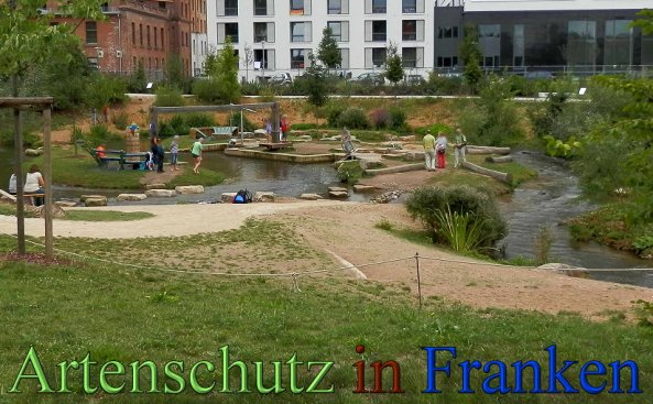 Copyright AiS- Albert Meier Bild zum Eintrag (48851-160)