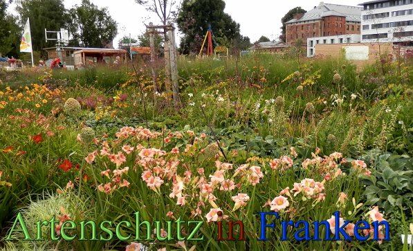 Copyright AiS- Albert Meier Bild zum Eintrag (48854-160)
