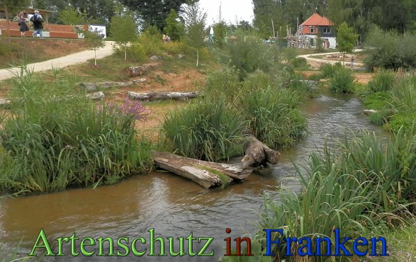 Copyright AiS- Albert Meier Bild zum Eintrag (48864-160)