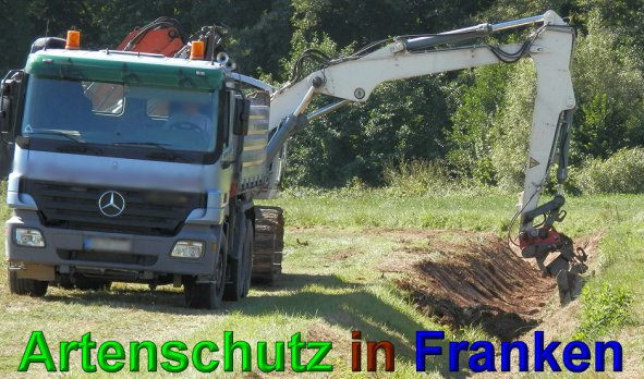 Copyright AiS- Albert Meier Bild zum Eintrag (49534-160)