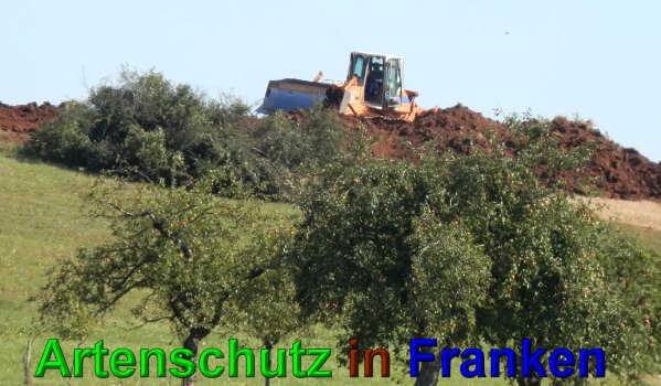 Copyright AiS- Albert Meier Bild zum Eintrag (49662-160)