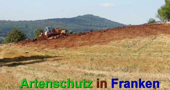 Copyright AiS- Albert Meier Bild zum Eintrag (49663-160)