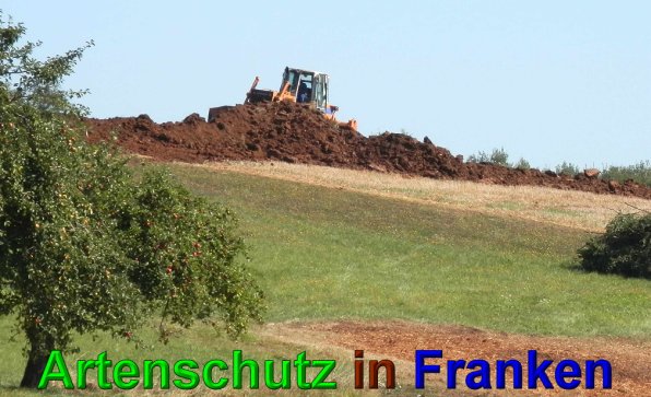 Copyright AiS- Albert Meier Bild zum Eintrag (49664-160)