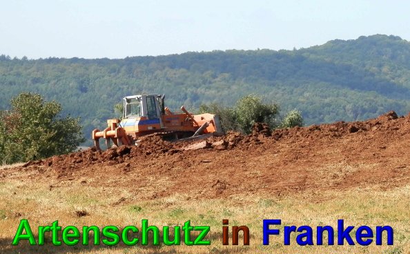 Copyright AiS- Albert Meier Bild zum Eintrag (49665-160)