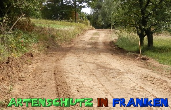 Copyright AiS- Albert Meier Bild zum Eintrag (49930-160)
