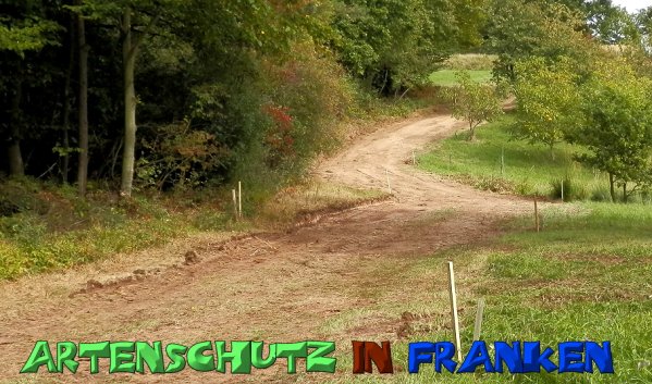 Copyright AiS- Albert Meier Bild zum Eintrag (49931-160)