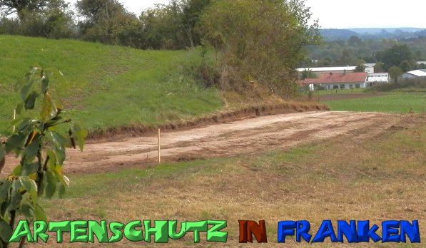 Copyright AiS- Albert Meier Bild zum Eintrag (49933-160)