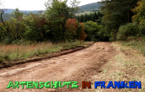 Copyright AiS- Albert Meier Bild zum Eintrag (49936-160)
