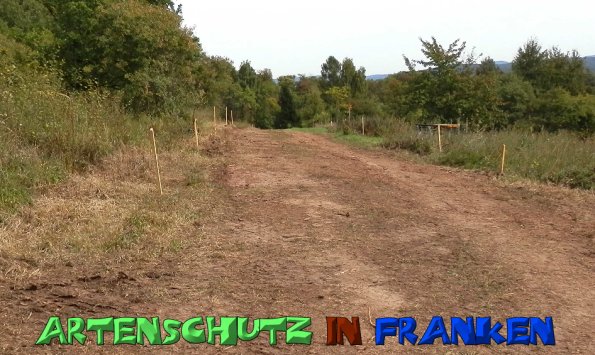 Copyright AiS- Albert Meier Bild zum Eintrag (49939-160)
