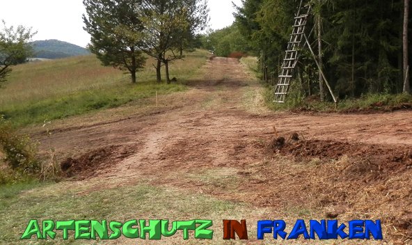Copyright AiS- Albert Meier Bild zum Eintrag (49949-160)