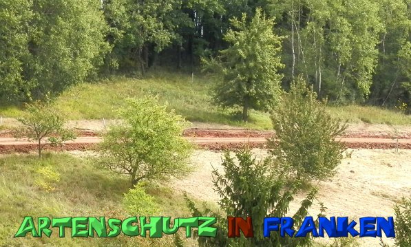 Copyright AiS- Albert Meier Bild zum Eintrag (49950-160)