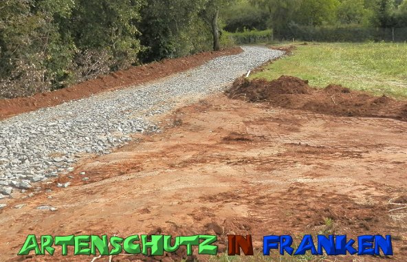 Copyright AiS- Albert Meier Bild zum Eintrag (49966-160)