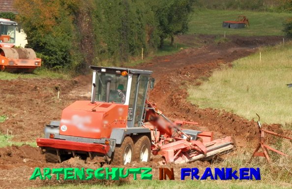Copyright AiS- Albert Meier Bild zum Eintrag (50207-160)