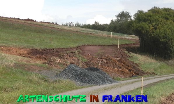 Copyright AiS- Albert Meier Bild zum Eintrag (50209-160)