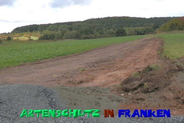 Copyright AiS- Albert Meier Bild zum Eintrag (50210-160)