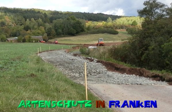 Copyright AiS- Albert Meier Bild zum Eintrag (50211-160)