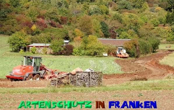 Copyright AiS- Albert Meier Bild zum Eintrag (50213-160)