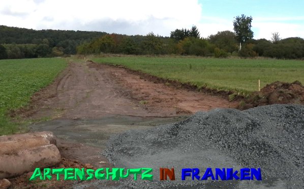 Copyright AiS- Albert Meier Bild zum Eintrag (50214-160)