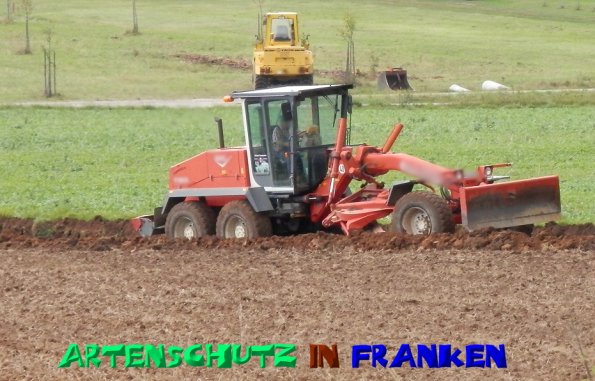 Copyright AiS- Albert Meier Bild zum Eintrag (50215-160)