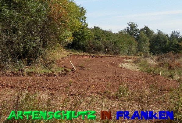 Copyright AiS- Albert Meier Bild zum Eintrag (50292-160)