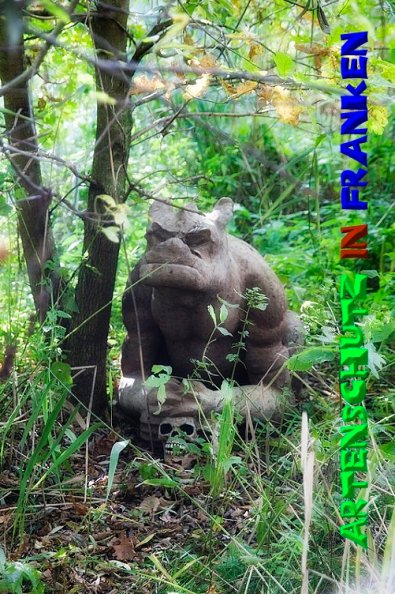 Copyright AiS - Peter Hoffmann Bild zum Eintrag (50720-160)