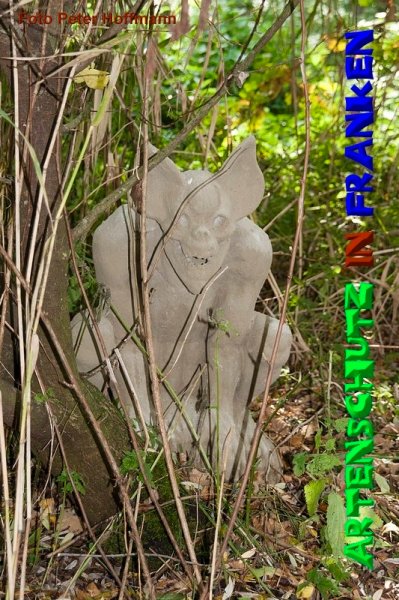 Copyright AiS - Peter Hoffmann Bild zum Eintrag (50722-160)