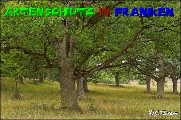 Copyright AiS-Johannes Rother Bild zum Eintrag (50872-160)